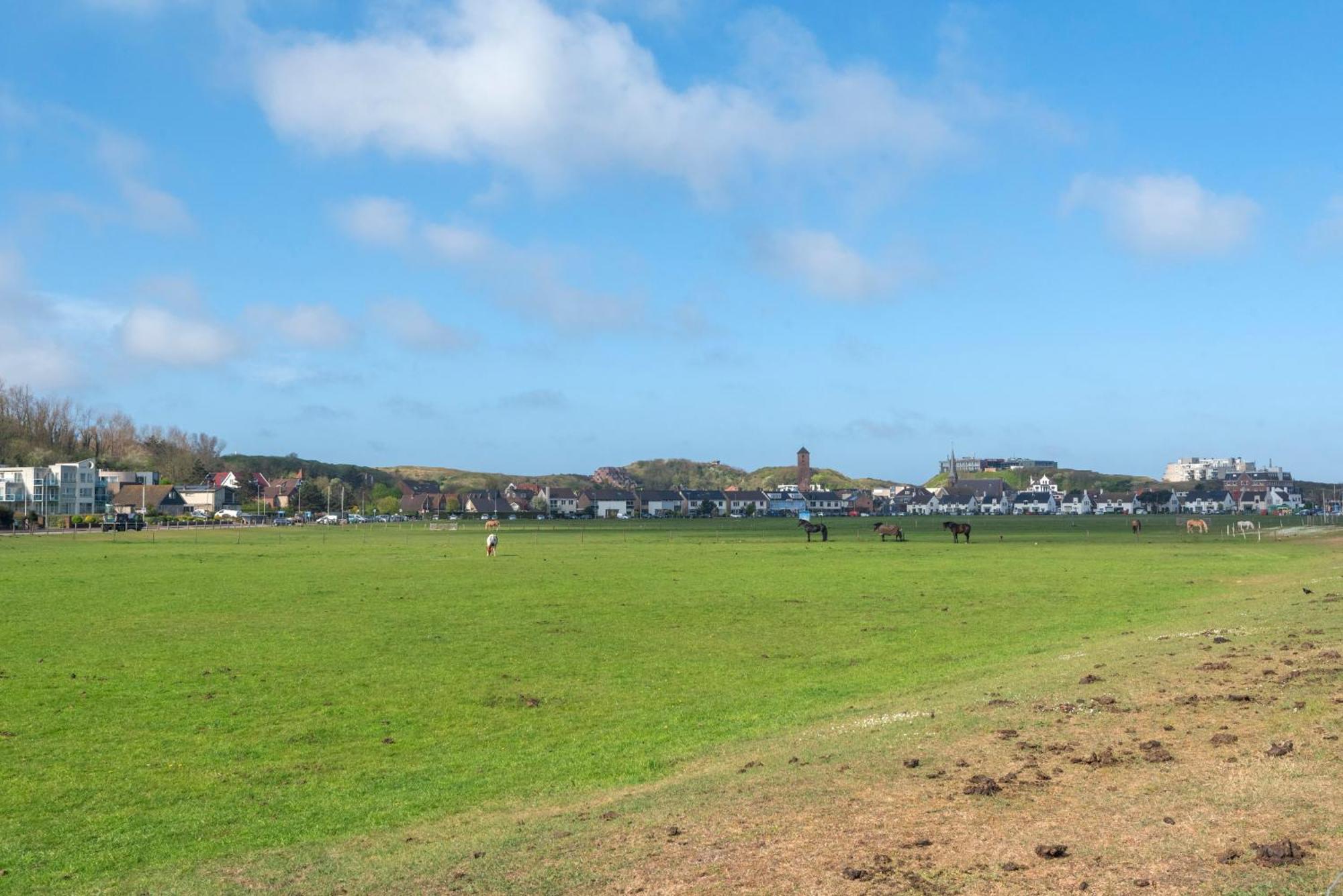 Wijkiki Surf House Apartment Wijk aan Zee ภายนอก รูปภาพ